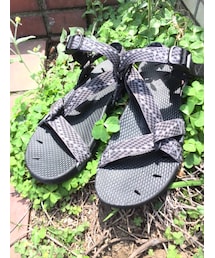 THE NORTH FACE | シューズ