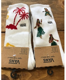 VANS | ソックス/靴下