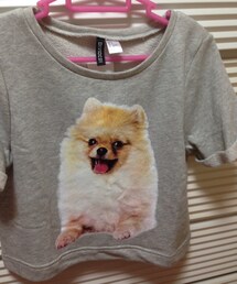 H&M | 2014.08(スウェット)