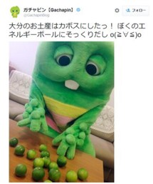 ガチャピンのつぶやき | その他