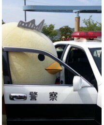 乗れるかな?😀 | その他