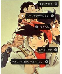 アネロリュック大流行 | その他