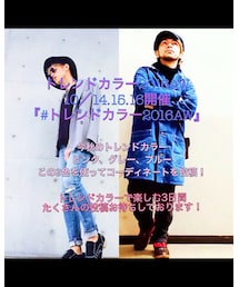 トレンドカラー2016AW告知 | その他