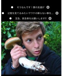 もしもし！友達が毒キノコを食べてしまって... | その他