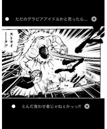 グラビアアイドル始球式 | その他