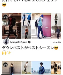 ダウンベスト フォルダー | その他