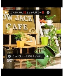 カエル漫画 1 | その他