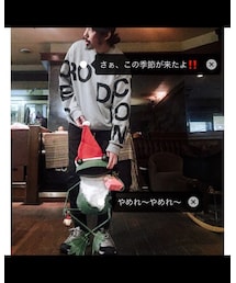 カエル漫画 2 | その他