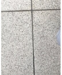 alexanderwang | ショルダーバッグ