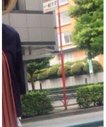 AVIE | Tシャツ/カットソー