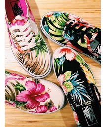  | Vans Hawaiian Floral Slip On(スニーカー)