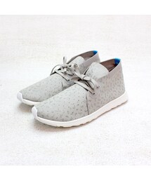 Native | native shoes APOLLO CHUKKA 灰/菌紋(スニーカー)