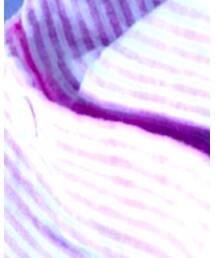 UNIQLO | シャツ/ブラウス