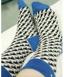 恐竜柄の靴下！ | ソックス/靴下