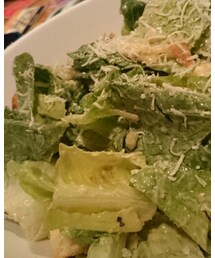 シーザーサラダ | 福袋/福箱