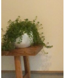 JOURNAL STANDARD | Tシャツ/カットソー