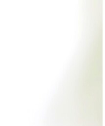 SWAROVSKI | ネックレス