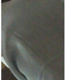 WEGO | スウェット