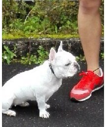 nico | 福袋/福箱