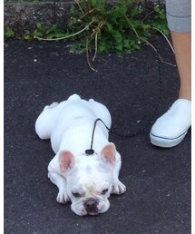 nico | 福袋/福箱