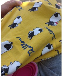 ブルトン | お散歩グッズ(トートバッグ)