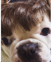 にこちゃん❤ | 福袋/福箱