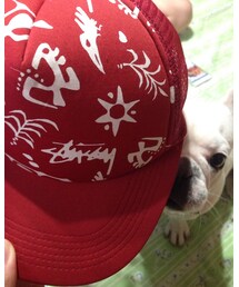 STUSSY | キャップ