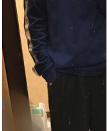 LACOSTE | トップス