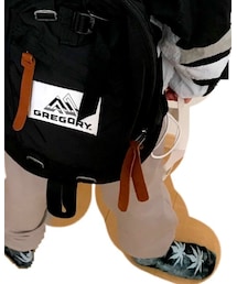 GREGORY | バックパック/リュック