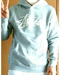 STUSSY | パーカー