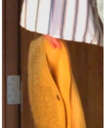 VANS | クラッチバッグ