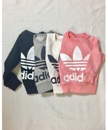 Korea | スウェット