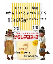 からしいろまつり2017告知 | その他