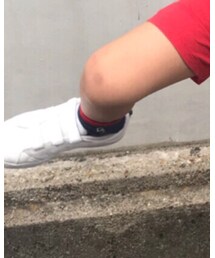 BRANSHES | ソックス/靴下