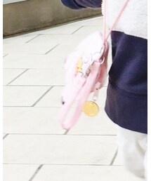 Disney | パスポートケース