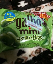 ガルボ | 抹茶(その他)