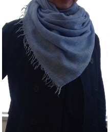 theory | マフラー