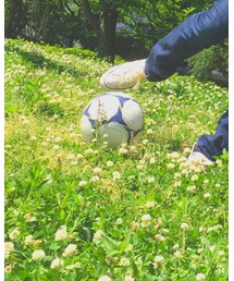 わかりません | その他