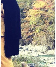 水貂 | その他アウター