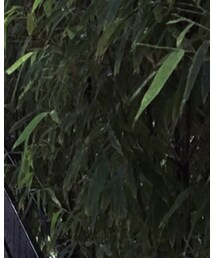 RIM.ARK | ダッフルコート