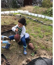 芋掘り見学 | その他