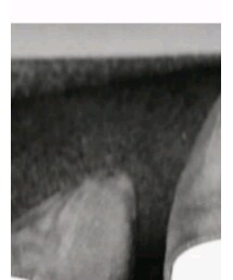 Honeys | パンプス