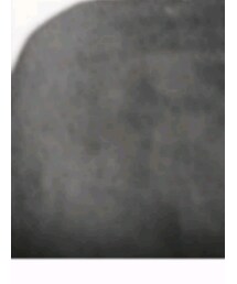 どこで買ったかわからん | パンツ