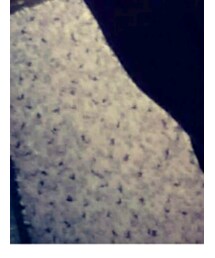 Honeys | スラックス