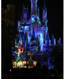 シンデレラ城 プロジェクションマッピング | その他