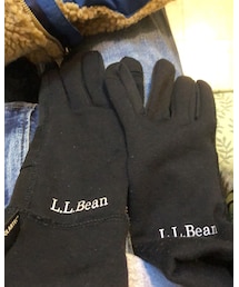 LLBean | 手袋