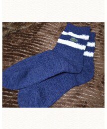 LACOSTE | ソックス/靴下