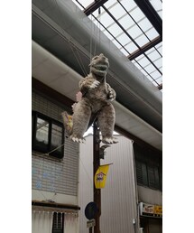 🌠 | その他