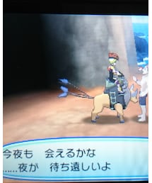 ポケットモンスターウルトラサン&ムーン | 雑貨/ホビー