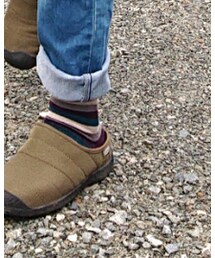 靴下屋 | ソックス/靴下